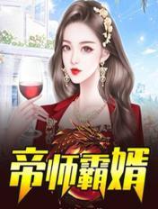 帝师龙婿默默著